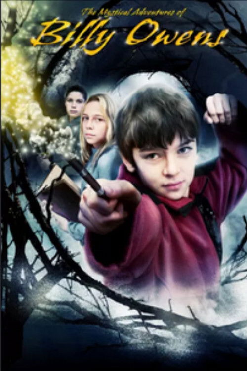 The Mystical Adventures of Billy Owens (2008) poster