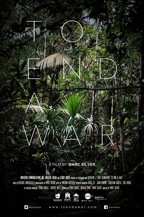 To End a War (2017) poster