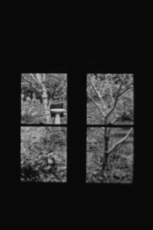 In and Out a Window (2021) poster