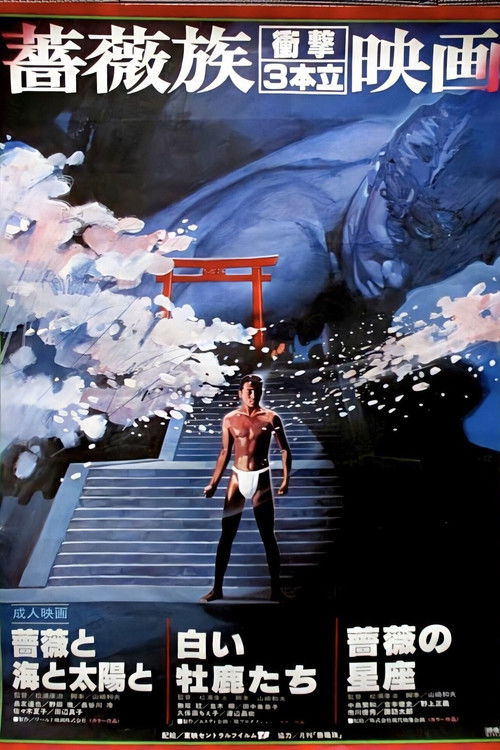 Roses, the Sea and the Sun (1982) poster