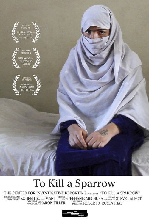 To Kill a Sparrow (2013) poster