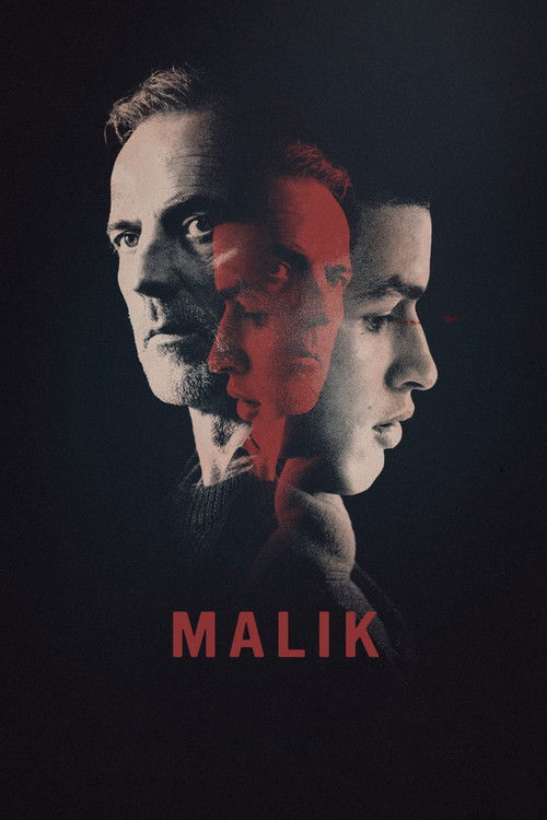 Malik (2017) poster