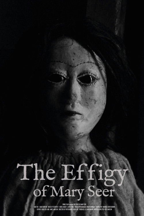 The Effigy Of Mary Seer (2021) poster