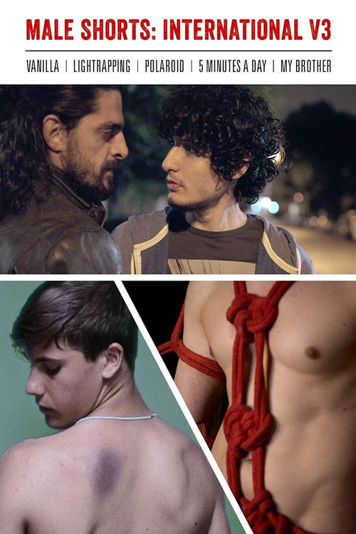 Male Shorts: International V3 (2020) poster