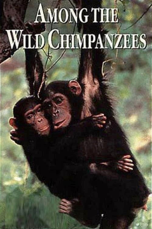 Among the Wild Chimpanzees (1984) poster