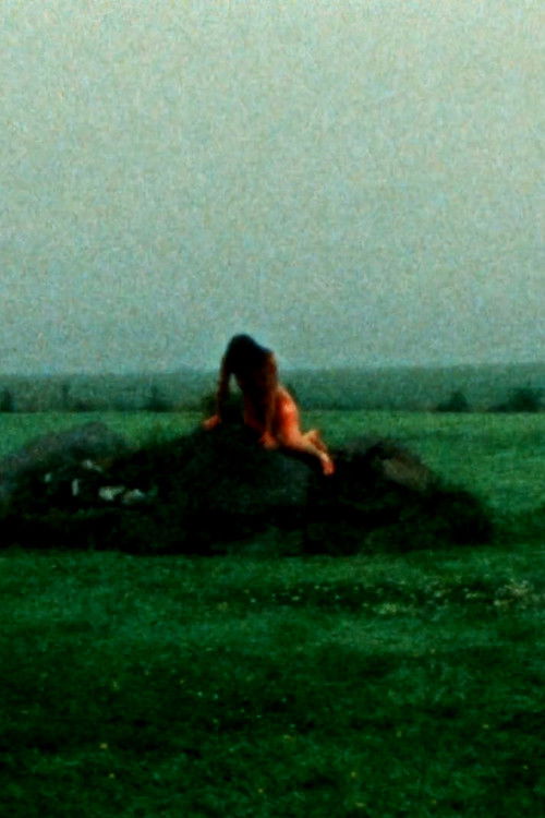 INT. LANDSCAPES (2018) poster