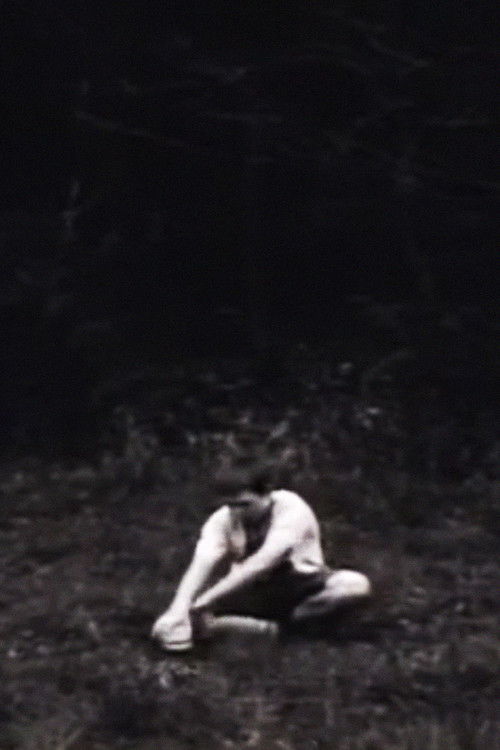 Miles Above, Years Apart (2005) poster