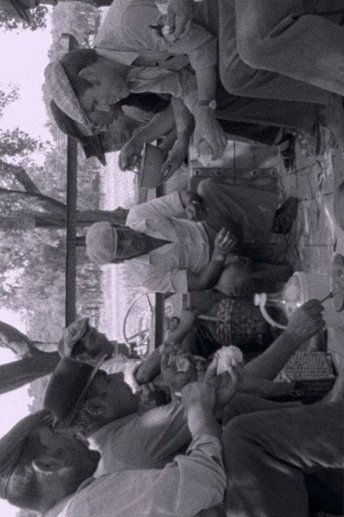 Luta do Povo: Alfabetização em Santa Catarina (1976) poster