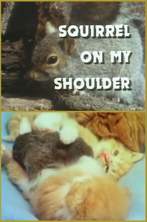 Squirrel on My Shoulder (1979) poster