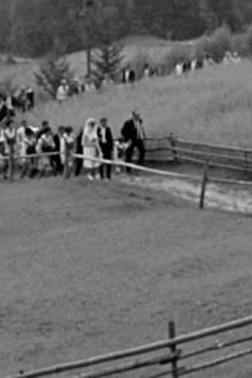 Chyłe pola (1970) poster