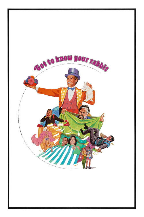 Get to Know Your Rabbit (1972) poster