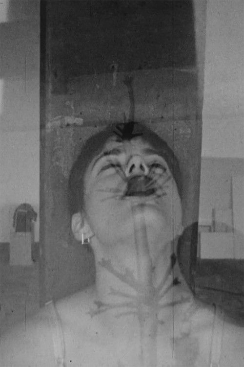 Safer Sexual Techniques in the Age of Mechanical Reproduction (1988) poster