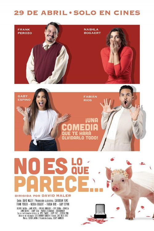 No es lo que parece (2021) poster