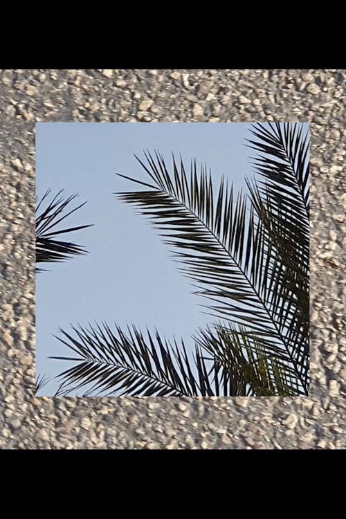 Not All Things that Shine Are Beautiful (2022) poster