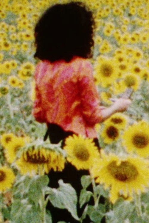 Loss of Heat (1994) poster