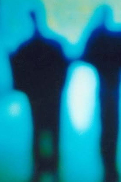 The Ghost Paintings 1 (2003) poster