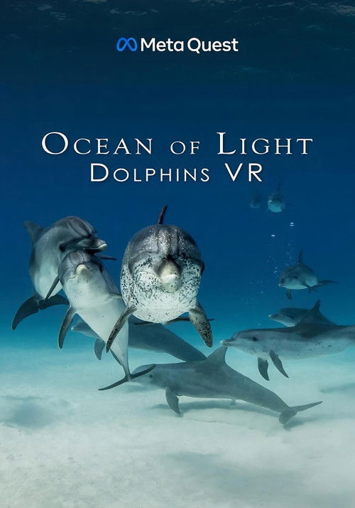 Ocean of Light - Dolphins VR (2023) poster