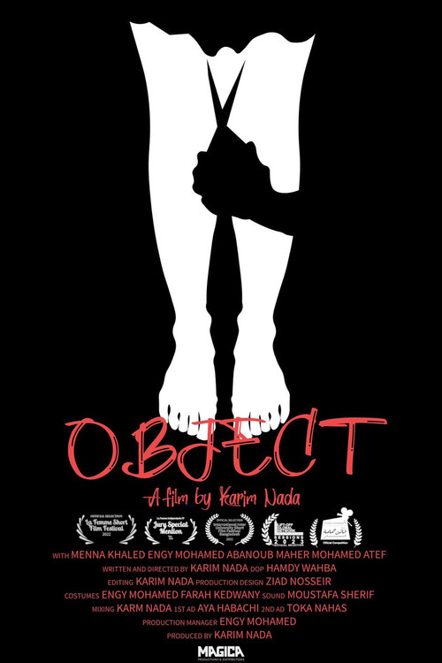Object (2022) poster