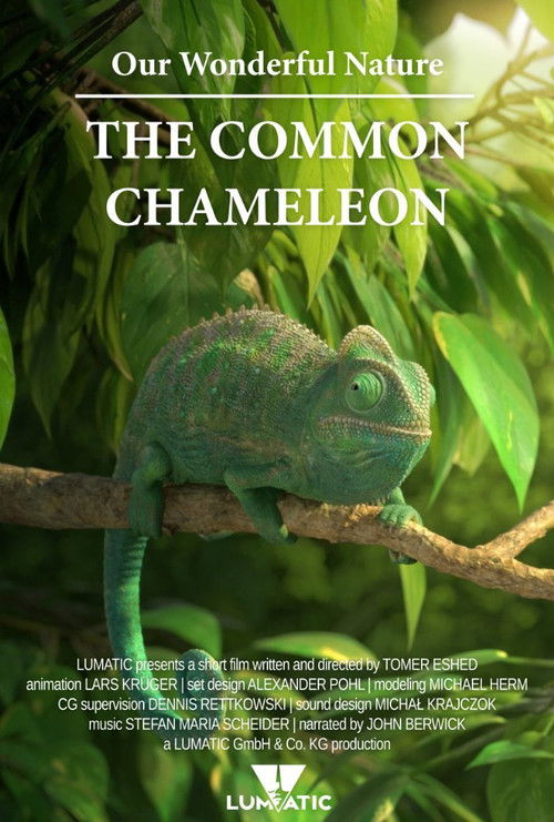 Our Wonderful Nature - The Common Chameleon (2016) poster