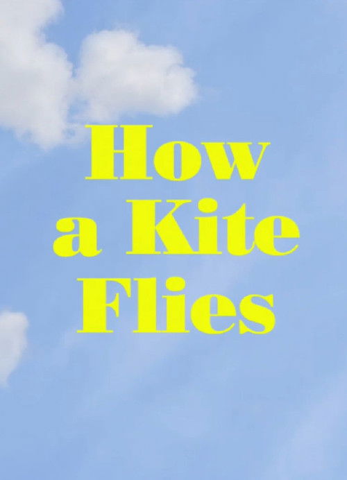 How a Kite Flies (2017) poster