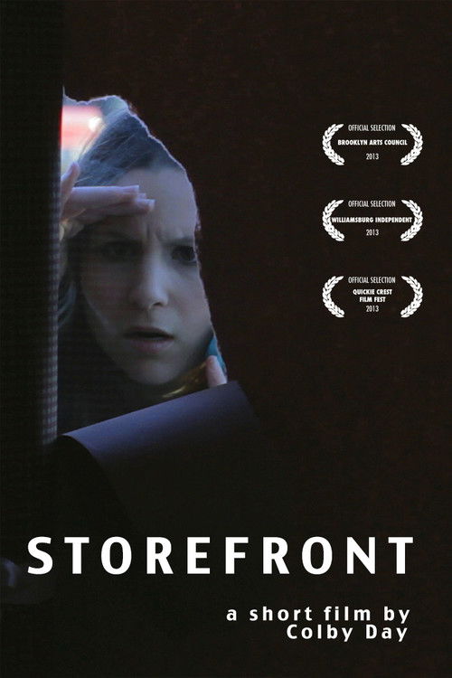 Storefront (2013) poster