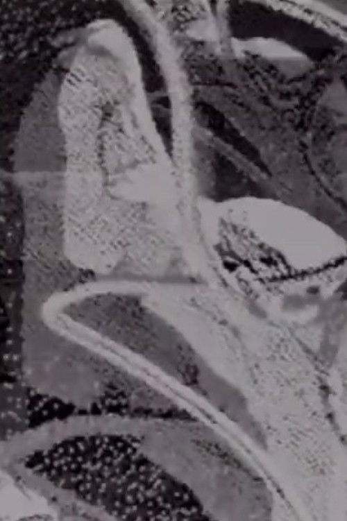 Coltello nella pancia (1993) poster