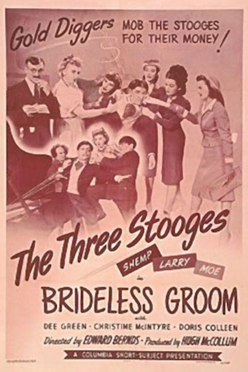 Brideless Groom (1947) poster