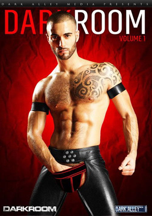 DarkRoom 1 (2012) poster