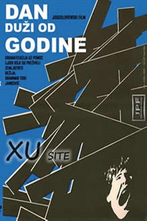 A Day Longer Than a Year (1971) poster