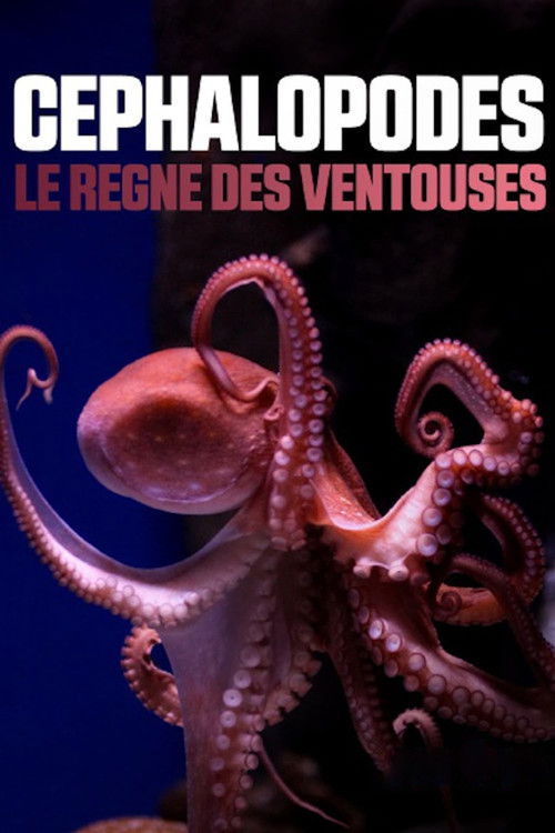 Cephalopods: The Reign of Suckers (2020) poster