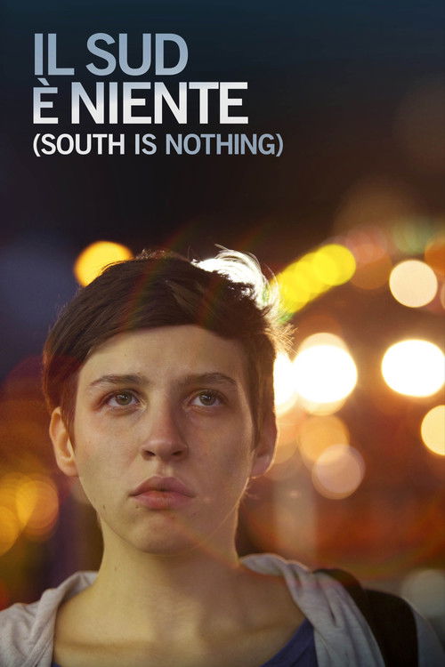 Il sud è niente (2013) poster