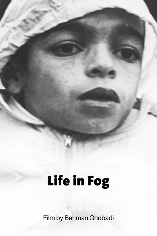 Life in Fog (1999) poster