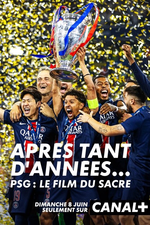 After So Many Years… (2025) poster