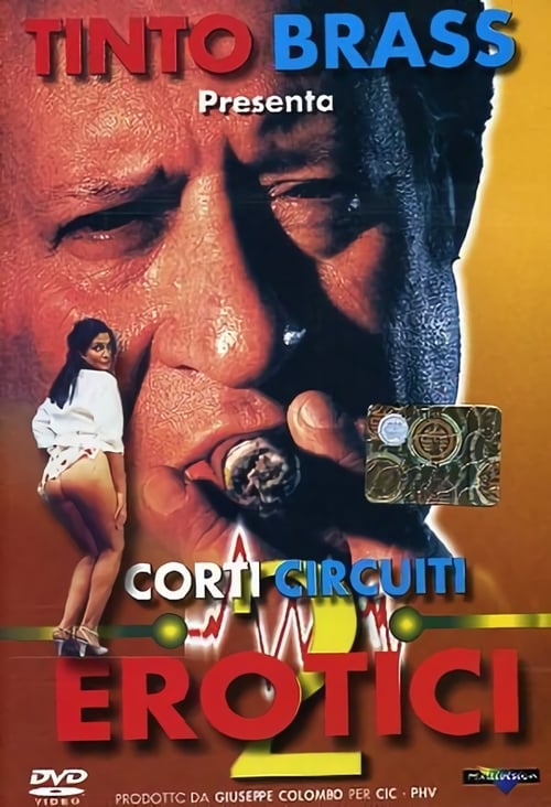 Corti circuiti erotici Vol.2 (1998) poster