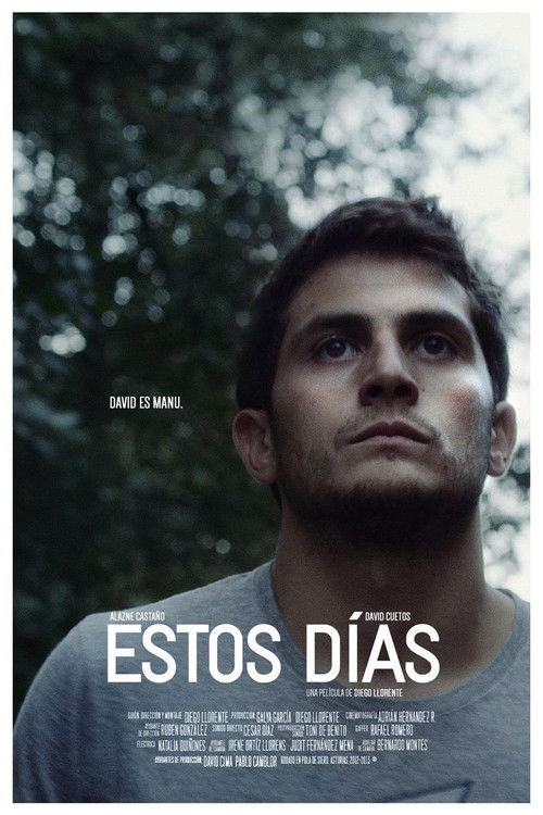 Estos días (2013) poster