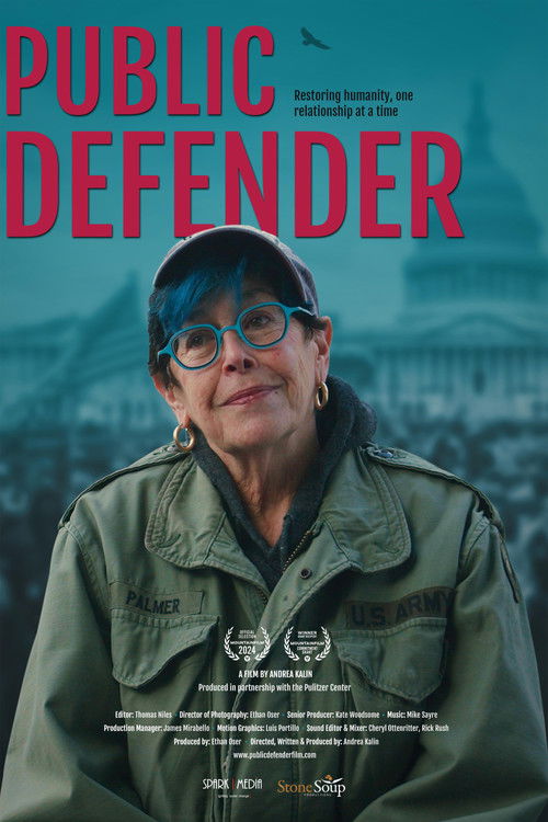 Public Defender (2024) poster