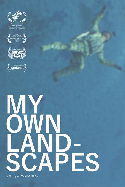 My Own Landscapes (2024) poster