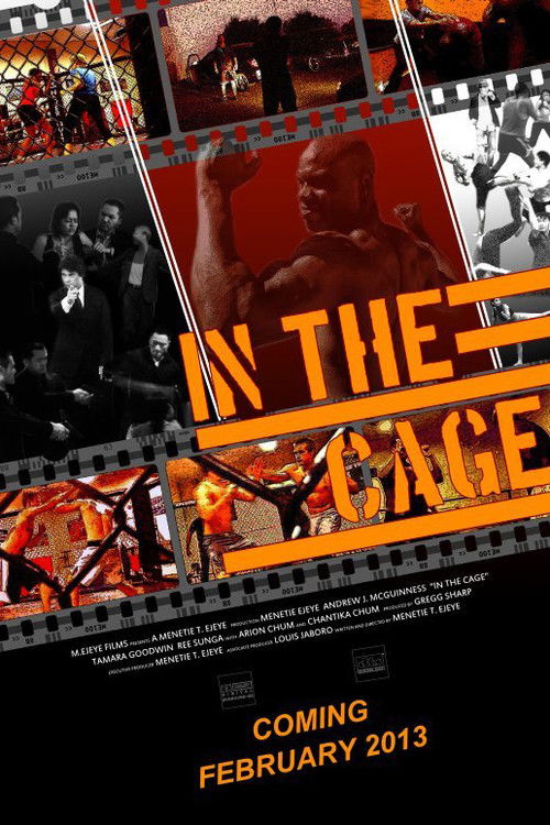 In the Cage (2013) poster