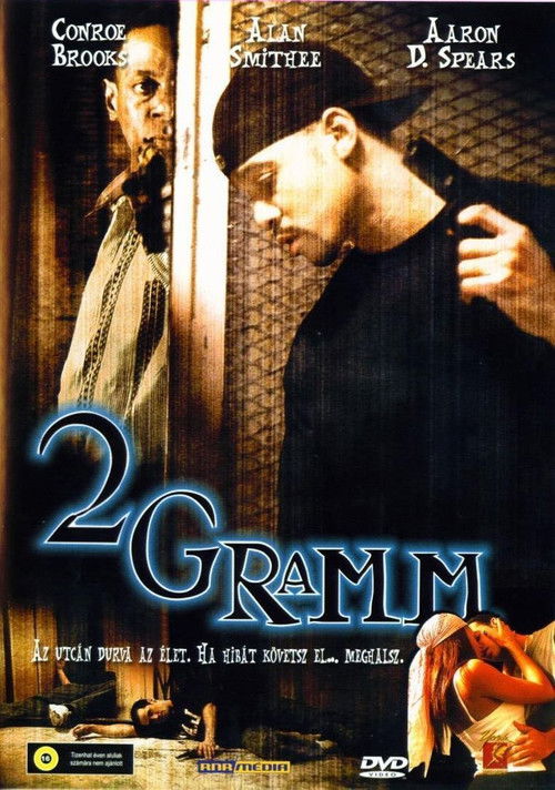 2 G's & a Key (2000) poster