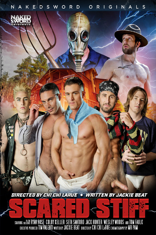 Scared Stiff (2016) poster