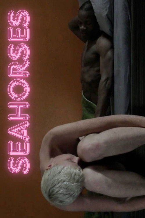 Seahorses (2014) poster