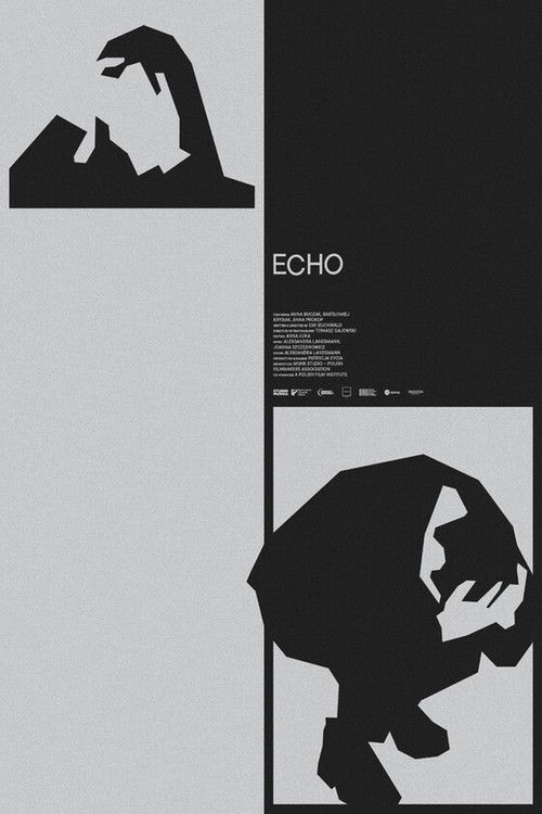 Echo (2023) poster