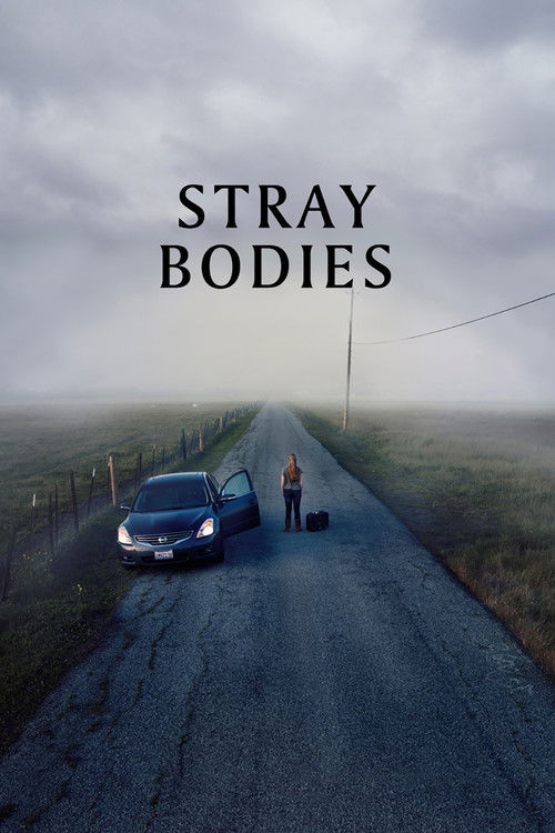 Stray Bodies (2024) poster