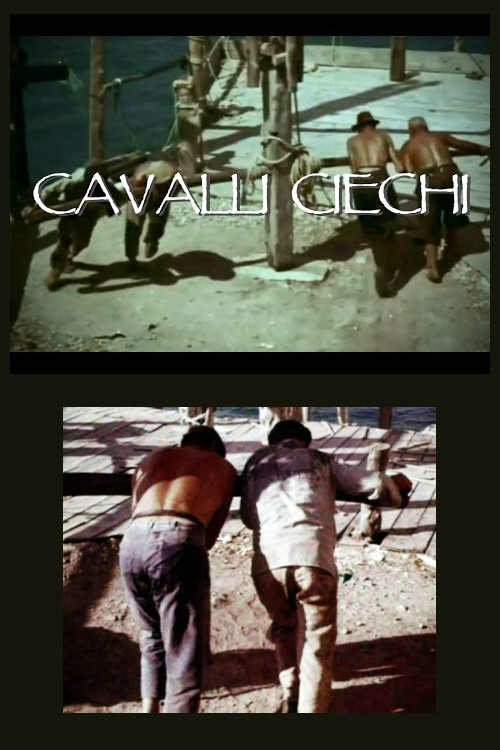 Cavalli ciechi (1967) poster