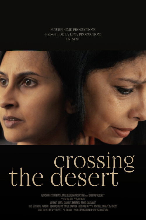 Crossing the Desert (2025) poster