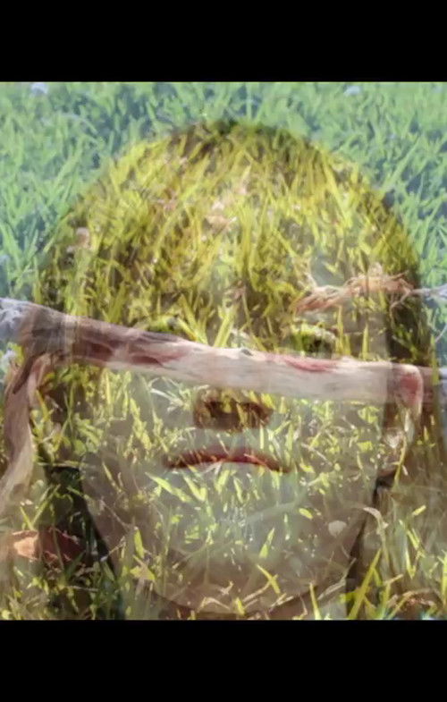 Lucy & Janie (2013) poster