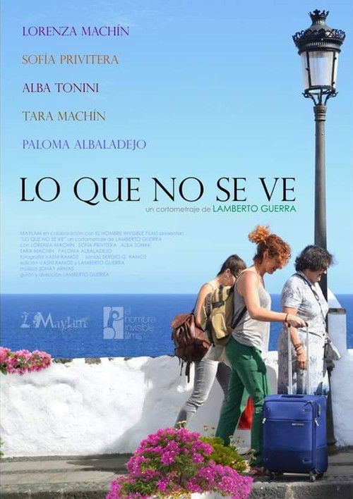 Lo que no se ve (2017) poster