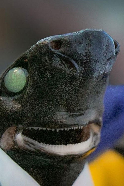 Alien Sharks: Return To The Abyss poster