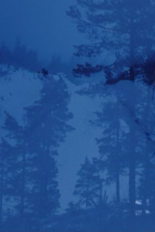 Winterfarbe II (1973) poster