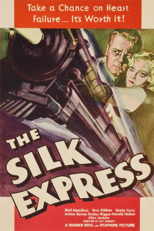 The Silk Express (1933) poster
